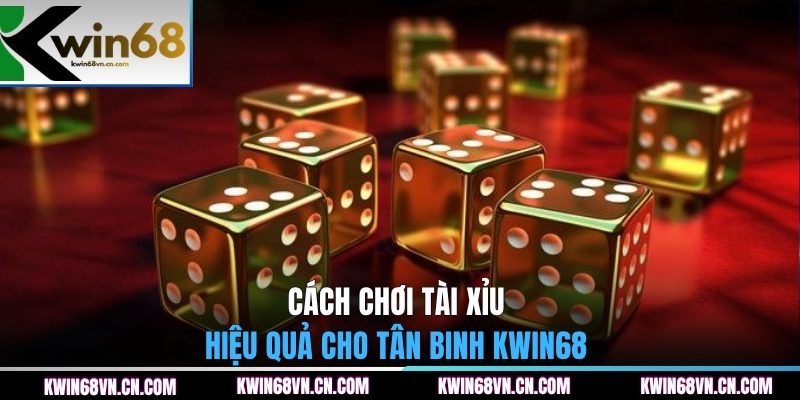 Cách chơi tài xỉu hiệu quả cho tân binh KWIN68